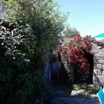 La Grange Libellule_42