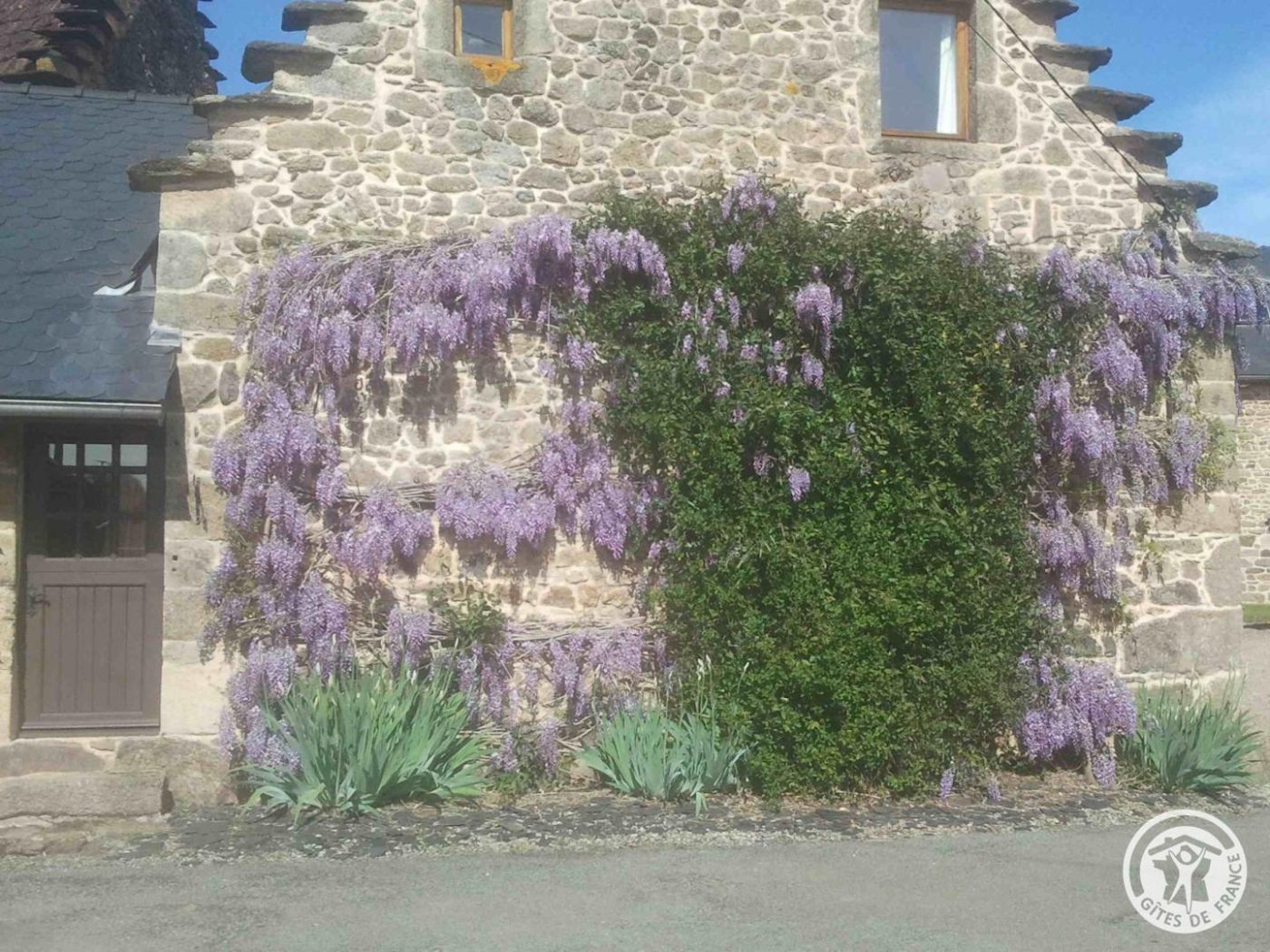 La Chaumière Libellule_14