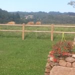 La Chaumière Libellule_9