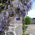 La Chaumière Libellule_13