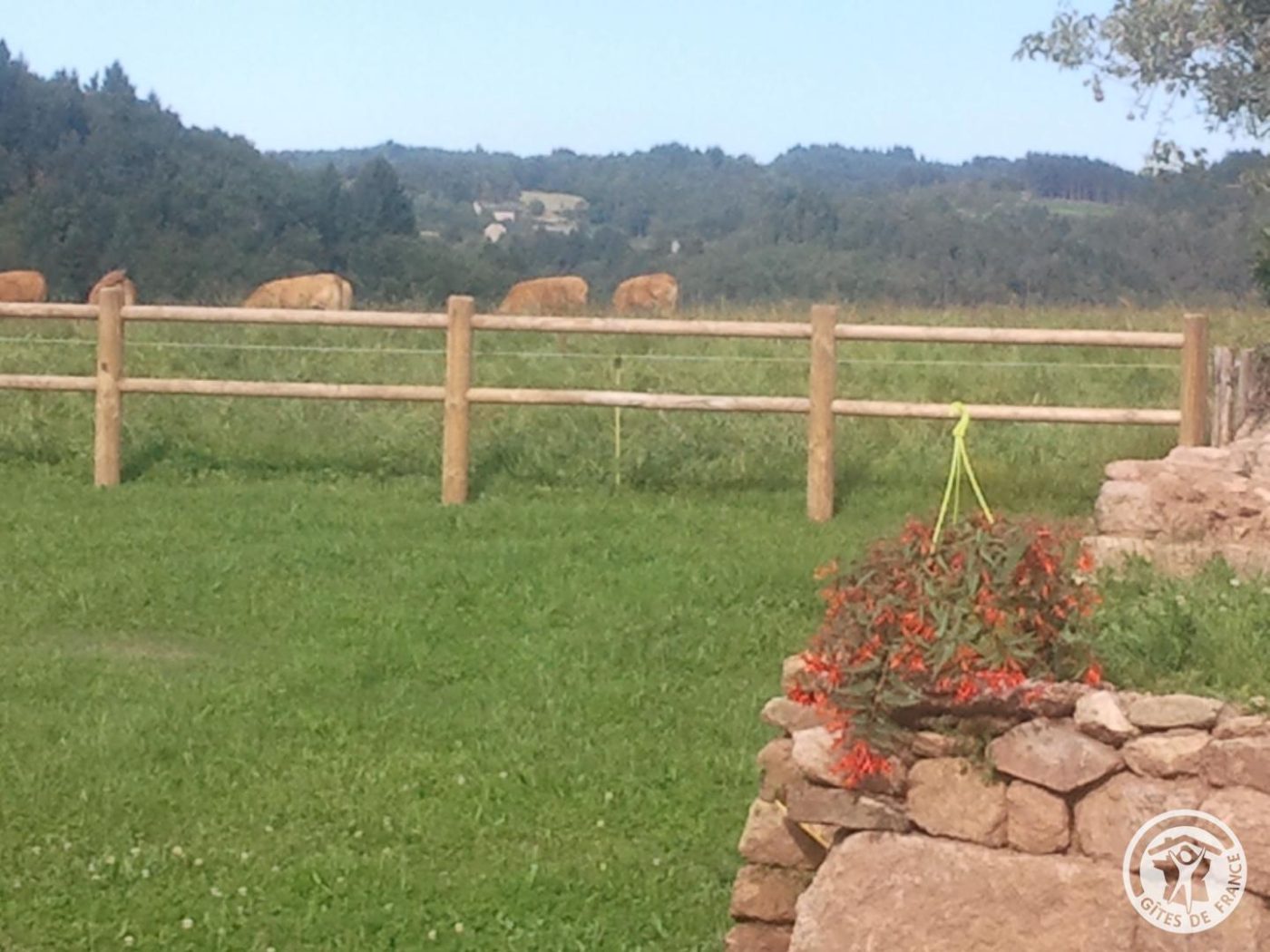 La Chaumière Libellule_9