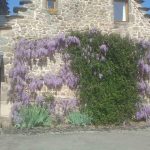 La Chaumière Libellule_14