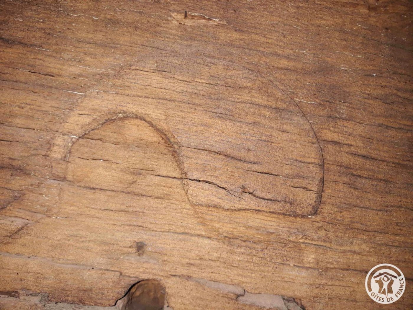 La Chaumière Libellule_31