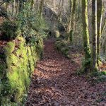 Le Chant des Sources_24