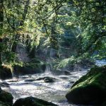 Le Chant des Sources_23