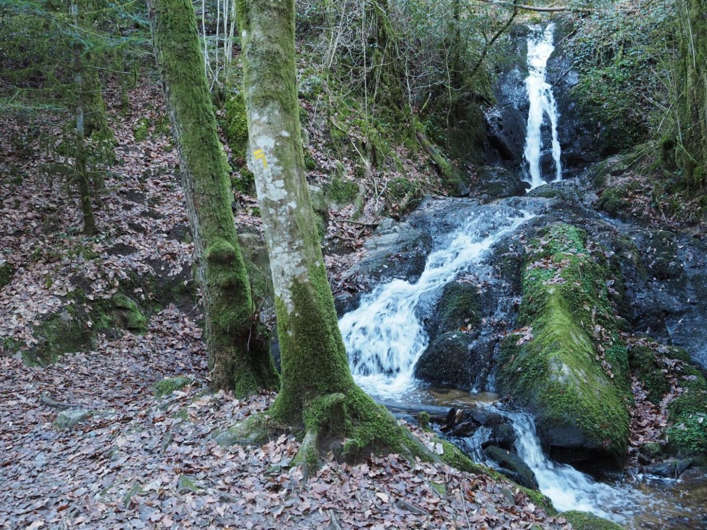 Le Chant des Sources_19