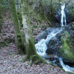 Le Chant des Sources_19