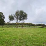 Gite familial à la campagne_33