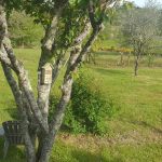 l&rsquo;hyvernerie_6