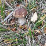 l&rsquo;hyvernerie_38