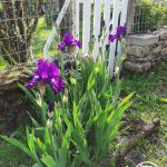 l&rsquo;hyvernerie_3