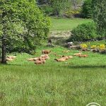 l&rsquo;hyvernerie_41