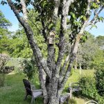 l&rsquo;hyvernerie_7