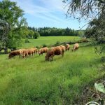 l&rsquo;hyvernerie_40