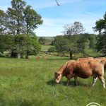 l&rsquo;hyvernerie_39