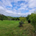 L&rsquo;Oréé du Bois_6