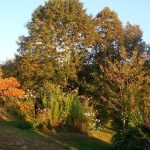 GITE DE CHOUVERT  « FRANCOIS »_23