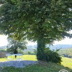 Gîte La Libellule_11