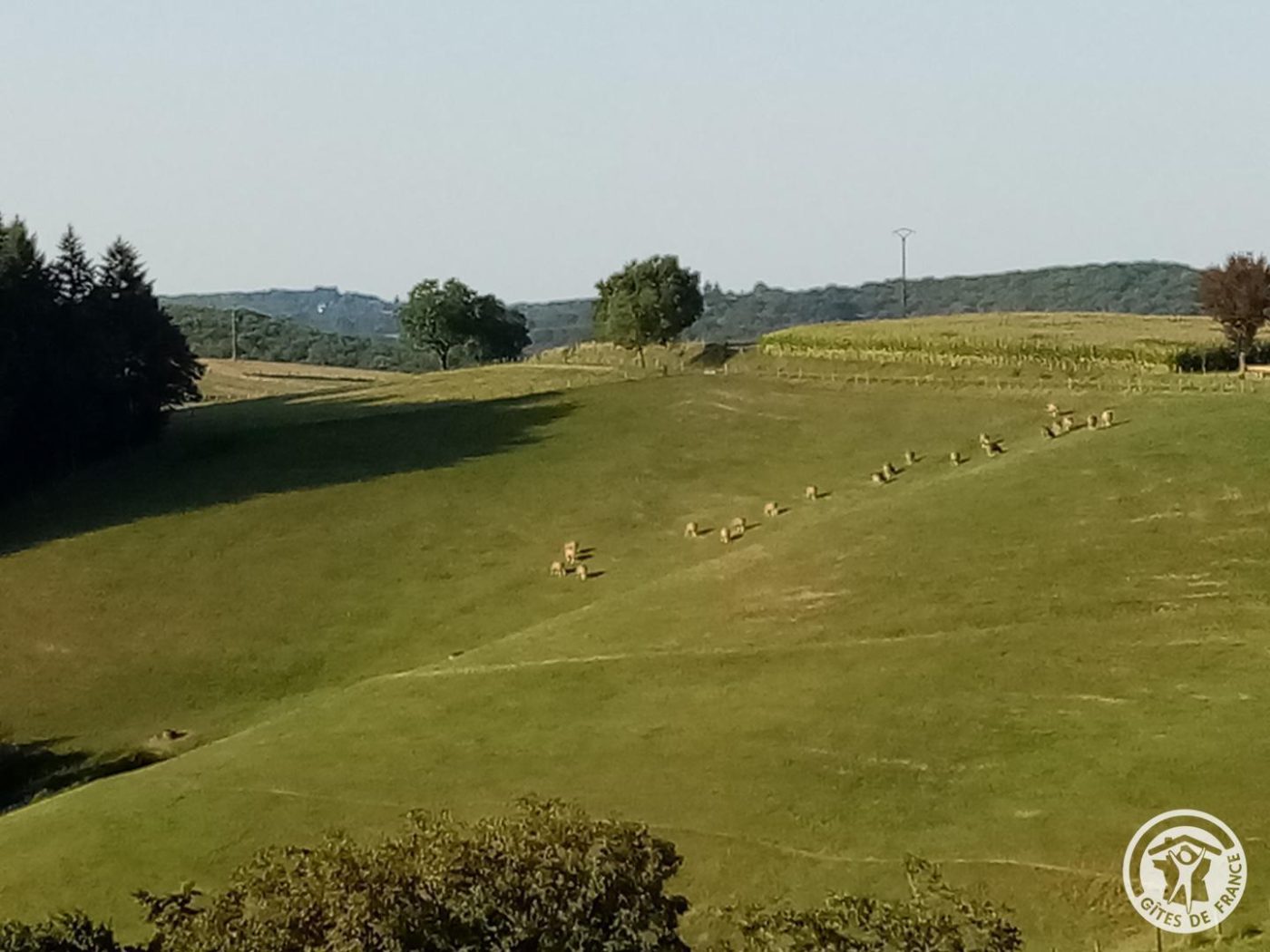 Gîte La Libellule_6