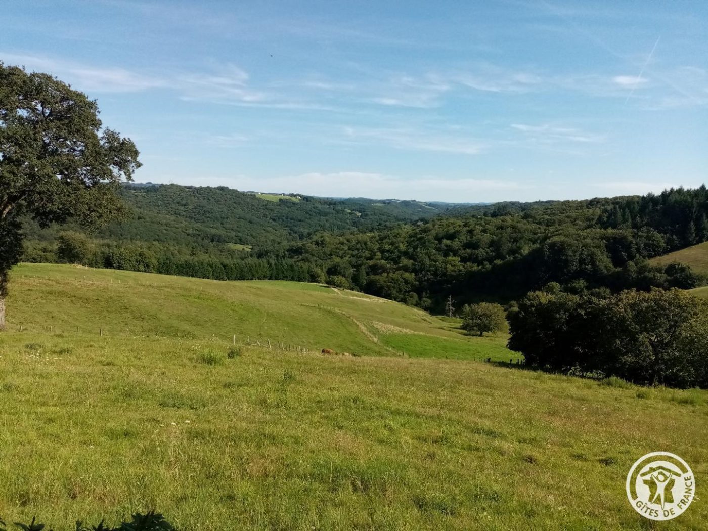 Gîte La Libellule_7