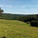 Gîte La Libellule_7