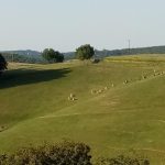 Gîte La Libellule_6