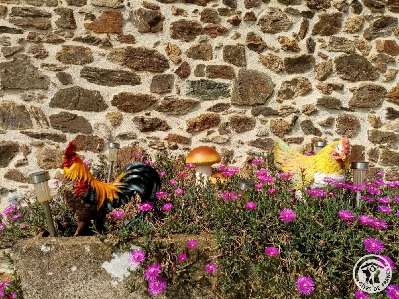 Gîte La Libellule_42