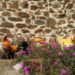 Gîte La Libellule_42