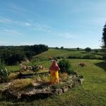 Gîte La Libellule_5