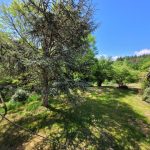 Gîte de la Pierre Ronde_5