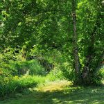 Gîte de la Pierre Ronde_29