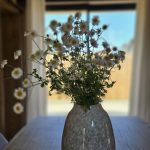 BERGERIE EN PLEINE NATURE – SPA PRIVATIF_13