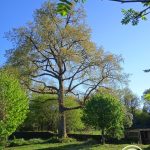 Gîte d&rsquo;Ausina_5