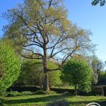 Gîte d&rsquo;Ausina_28