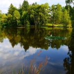 Chateauret Chambres d&rsquo;hôtes et Gite_18