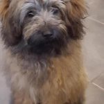 Chateauret Chambres d&rsquo;hôtes et Gite_37