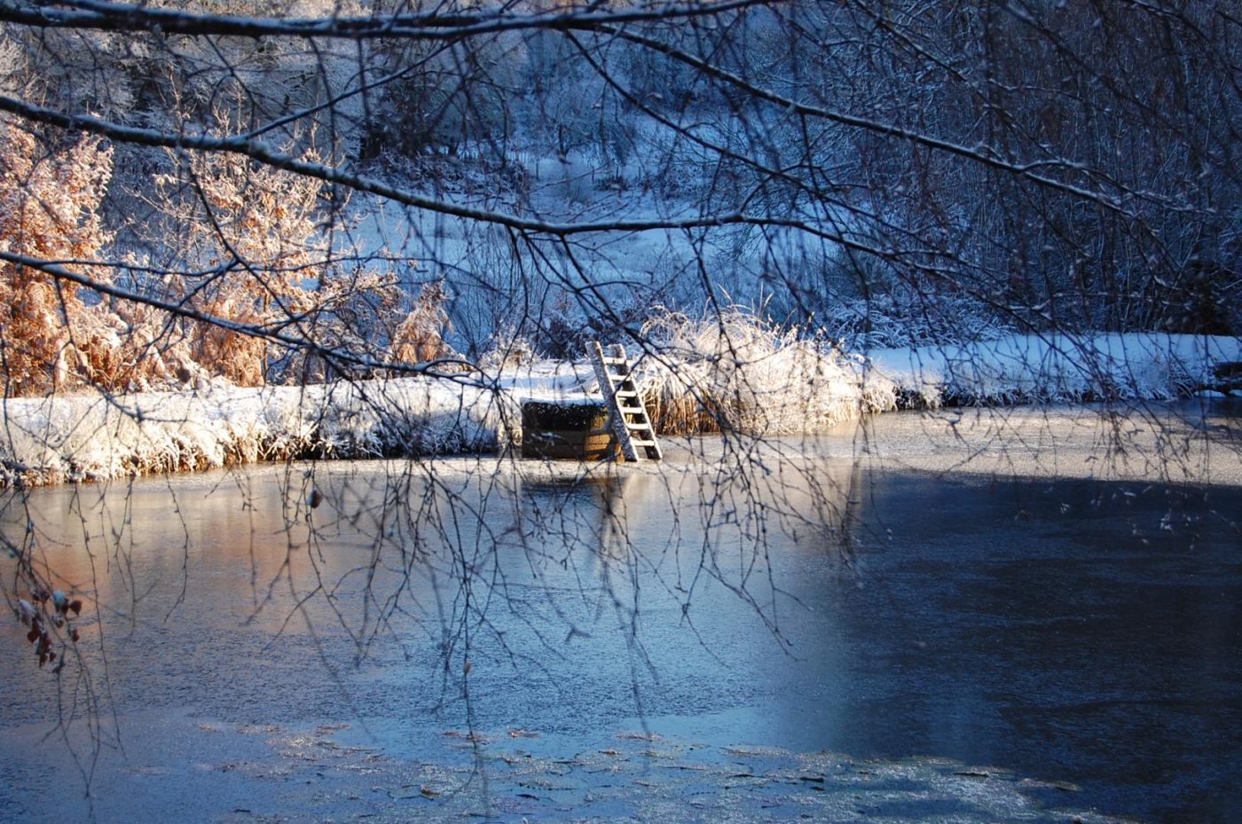 Chateauret Chambres d’hôtes et Gite_43