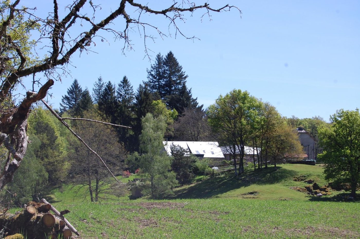 Chateauret Chambres d’hôtes et Gite_44