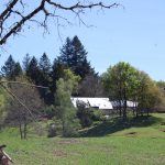 Chateauret Chambres d’hôtes et Gite_44