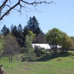 Chateauret Chambres d&rsquo;hôtes et Gite_48