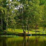 Chateauret Chambres d&rsquo;hôtes et Gite_32