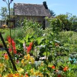 Chateauret Chambres d&rsquo;hôtes et Gite_29