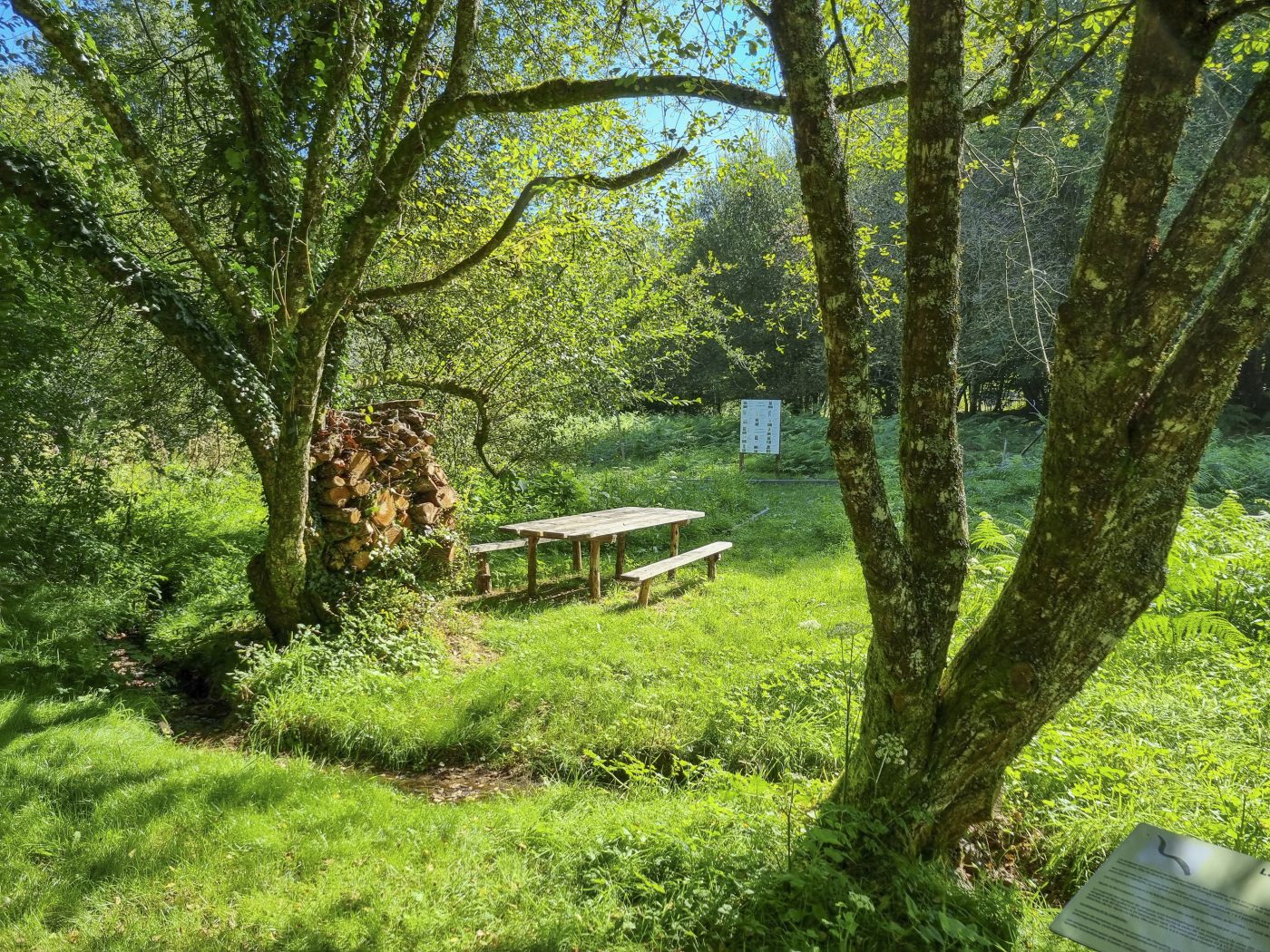 20240828_114909©OT Tulle en Corrèze