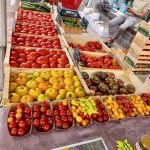 Ferme-de-Brossard_Lanteuil_tomatesMarche_4