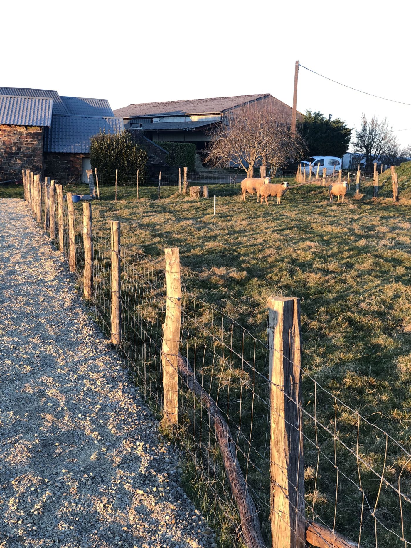 La Ferme de Brossard_5