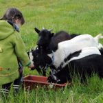 La Ferme de Brossard_1