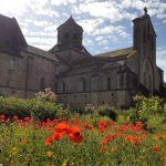 Cloître fleurie_12