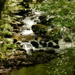 Rivière Montane