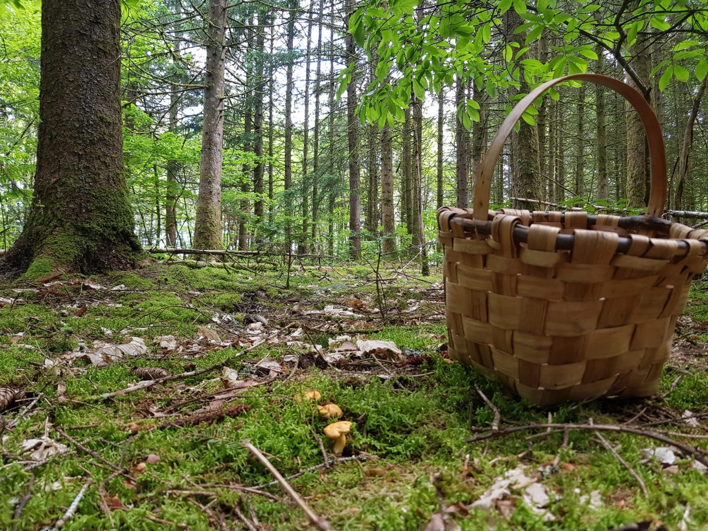 Camping dans un écrin de nature