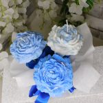 465861711_1092526412665048_1602618713416675031_n